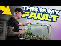 Fish WON'T EAT? Check Your Aquascape