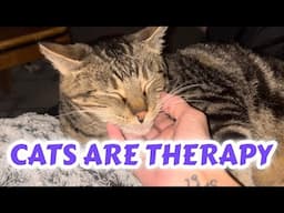 CATS ARE MY THERAPY