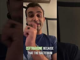 ESBL vs. AmpC – Key Differences Explained in 90 Seconds! #meded #antibioticresistance #shorts