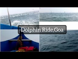 Dolphin Ride, Goa | Goa Travel Guide | Dolphin point Goa | Reshu's Corner