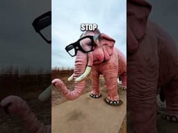 Pink Elephant is Guarding The Geocache! #geocaching #geocache