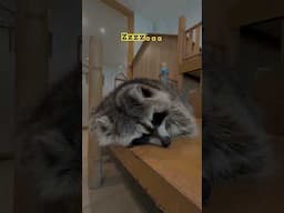 Tired....