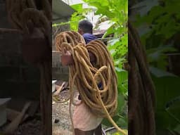 കാട്ടിലെ കിണറ്റിൽ നായ വീണപ്പോൾ #youtube #shorts