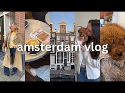 amsterdam vlog | meeting my niece, apartment hunting & wholesome days in the city