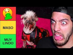 RANKING de PERROS 🐶