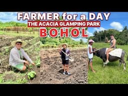 BOHOL Hidden Gem: The Acacia Glamping Park