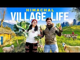 Village life of himachal || resty kamboj || neha bagga || resty neha vlogs || organic farming