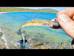 Fishing the Rocks for Food