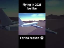 Flying in 2025 be like