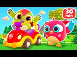 Hop Hop the olw plays with new toys for kids - a sorter car, magnets and colorful spheres.