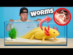 MY AXOLOTL HAS WORMS ! WILL HE SURVIVE ?!