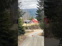 home sweet home ❤️ #norway #home #farm #renovation