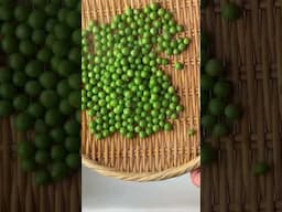 Mame Gohan - easy and delicious dinner idea - Japanese Cooking 101