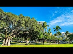 Honolulu’s parks could be going to the dogs: 8 things to know about the big dog park debate