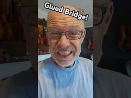 Who glued the bridge on this violin?!?