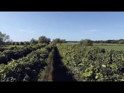 How Exelon delivers more power with less water | GE Vernova