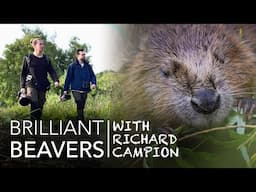 Beavers in the UK! Wildlife Photography with Richard Campion