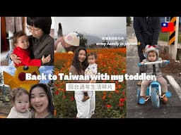 back to Taiwan with my toddler 🤍 獨自回台過年生活碎片