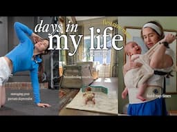 LIFE WITH A 3MO OLD 🍼nursing strike, postpartum depression, PERELEL GIVEAWAY, firs time mom vlog