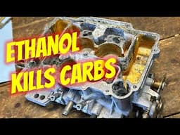 Ethanol will Destroy Your Carburetor