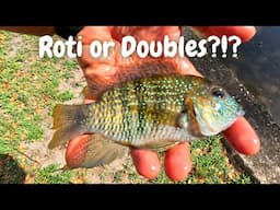 USING ROTI & DOUBLES FOR BAIT! Freshwater River Fishing For Aquarium Fish In Trinidad, Caribbean