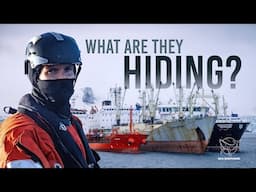 Inside Antarctica’s Hidden Krill Offload – Transshipment Exposed