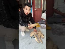 Trúng trầm rồi cả nhà 🤣🤣 #xh #songcotam #trinding #tramhuongkhanhhoa