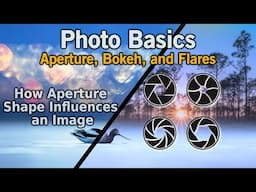 Aperture, Bokeh, and Starbursts