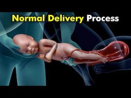 How a Baby is Born Naturally: Vaginal Birth A Safe and Natural Journey