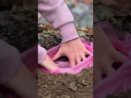 She made a toilet in the forest to escape awkward situations 😧⛺️ #camping #forest #survival #toilet