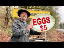 Adding eggs to my firewood stand, what could go wrong?