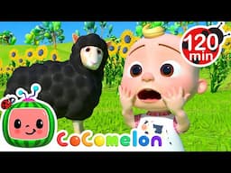 It's Baa Baa Black Sheep! 🐑 + More Classic CoComelon Nursery Rhymes + Baby Songs for Kids 🎵