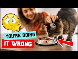 🐱❌ You’re Feeding Your Cat WRONG! (8 Shocking Mistakes)