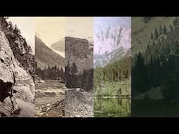 🌲🌳🌴 A tree story | A celebration of trees in photography 🌴🌳🌲