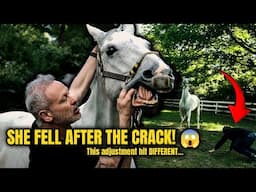 Horse of the Year? More Like Bumper of the Year! 😅