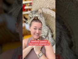 Girlfriend (the cat) Has Been Adopted!