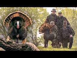 Turkey Hunting GOBBLERS on the ROOST! - RARE West Virginia Hunt