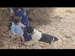 Enchanting documentary: The beautiful lifestyle of the nomads