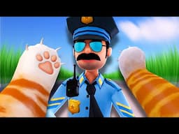 I Became a Crazy Cat and Broke The Law!