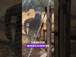 Why You Should NEVER Use Chicken Wire!