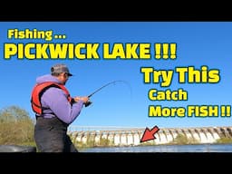 CATCH 10x MORE FISH !! (A Fishing BAIT that Will CHANGE the WAY you FISH)