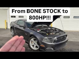 BONE STOCK to 800HP! 2014 Mustang GT gets all the Mods! *1st Drive