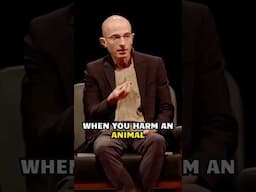Suffering and ethics | Yuval Noah Harari and Jon Kabat-Zinn