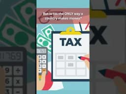 Spoiler: your taxes might be feeding rubber duckies! #daily #facts #trending #viralvideo #learn
