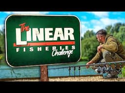 Day Ticket Carp Fishing Challenge With Tom Maker
