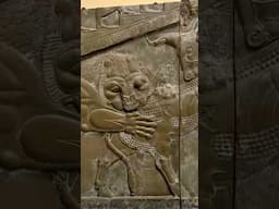 Lion attacking a Bull. Palace of Darius, Persepolis #history