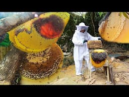 Attracting Honey Bees - 100% Pure Honey - How Important Is Honey?