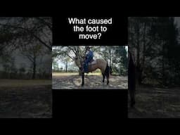 What caused the foot to move? #horse #hobby #horseriding #fyp #worklifebalance #carsonjames