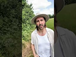 How to write a Haiku Sonnet in 60 seconds! #poetry #dailyhaiku #haikupoem #dailypoem #poetrytips