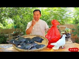 Golden Turtles and Pigeon Stewed Together with The Most Delicious Sauce | Uncle Rural Gourmet
